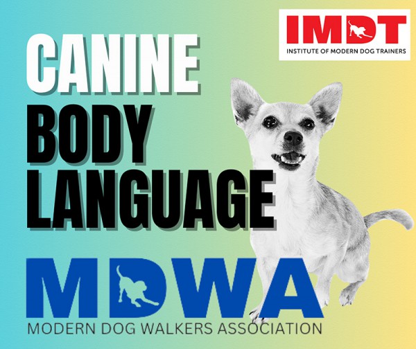 1 Day Canine Body Language