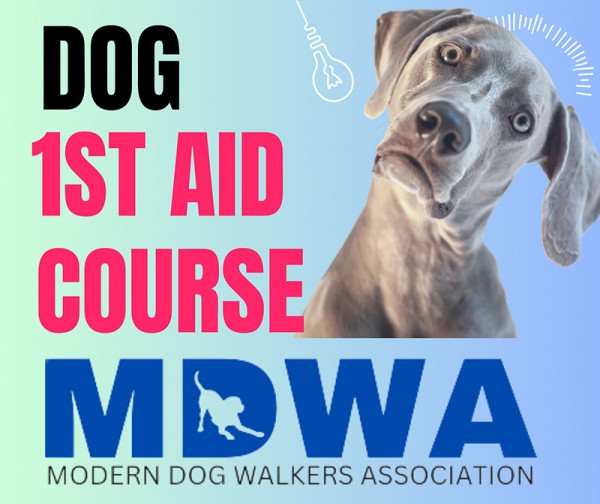 k9 1st Aid