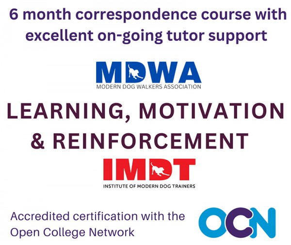 LEVEL THREE 6 Months. Learning, Motivation and Reinforcement