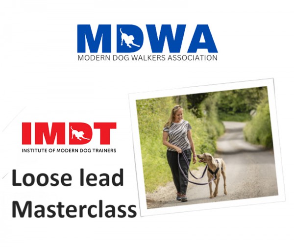 The Loose Lead Masterclass