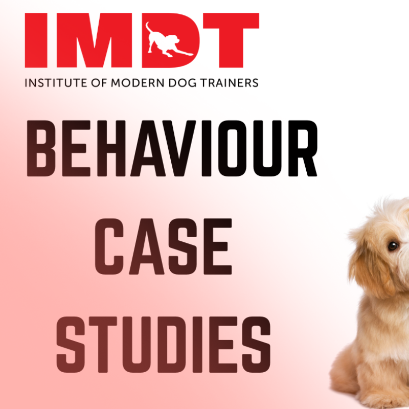 Behaviour Case Studies Course